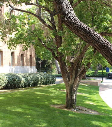 CS SideWalk